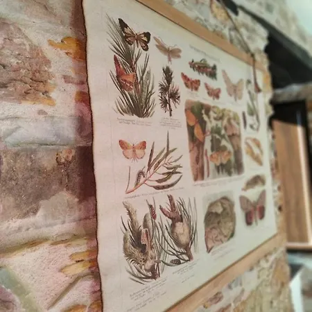 Casa Bagaro فندق مبيت وإفطار