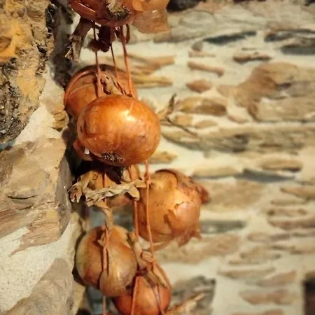 Casa Bagaro فندق مبيت وإفطار